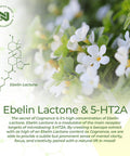 Cognance Enhanced Bacopa Capsules | 100mg | 10% Ebelin Lactone | Bacopa monnieri | Mood, Memory, & 5-HT2A Activation