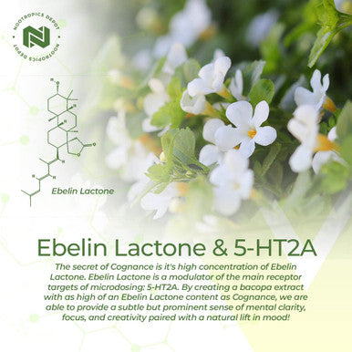 Cognance Enhanced Bacopa Capsules | 100mg | 10% Ebelin Lactone | Bacopa monnieri | Mood, Memory, & 5-HT2A Activation