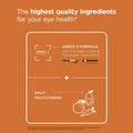 Viteyes AREDS 2 Powder Multivitamin Macular Protection Alternative to AREDS 2 chewables No Pills AREDS 2 Drink Eye Vitamins Natural Orange Flavor 90 Scoops 531 g