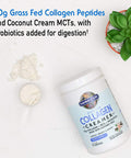 Garden of Life Collagen Creamer Powder Vanilla 11.64 Ounce