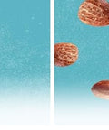Blue Diamond Almonds, Smokehouse Flavored Snack Nuts, Single Serve Bags (1.5 Oz. Tubes, Pack of 12)