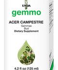 UNDA Gemmo Therapy Acer Campestre | Field Maple Bud Extract | 4.2 fl. oz.
