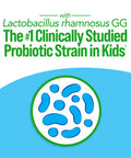 Culturelle Kids Complete Multivitamin Probiotic Chewable Digestive Immune Support for Kids With 11 Vitamins Minerals including Vitamin C D3 and Zinc NonGMO Fruit Punch Flavor 50 Count