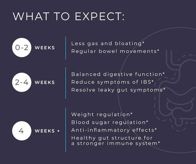 Bodybio Butyrate With Calcium & Magnesium - Supports Healthy Digestion, Gut & Microbiome - Leaky Gut Repair - Control Bloating - Healthy Inflammation Response - Fuel For Healthy Gut - 250 Capsules