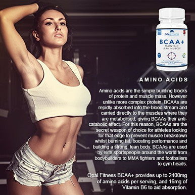 OPALFITNESS BCAA Tablets Branched Chain Amino Acids by Opal Fitness Nutrition ÃƒÂ¢Ã¢â€šÂ¬Ã¢â‚¬Å“ Vegan BCAA+ with Vitamin B6 to Aid Absorption - UK Produced and GMP Certified - Suitable for Men and Women ÃƒÂ¢Ã¢â€šÂ¬Ã¢â‚¬Å“ 120 Tablets
