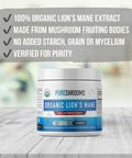 Lion's Mane Mushroom Focus & Memory Capsules (90 caps), Organic Lion's Mane Mushroom Powder Extract Capsules, Vegan Brain Supplement, Brain Focus Vitamins, Gluten-Free, No Fillers