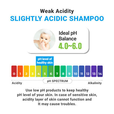 ATOPALM Mild Shampoo 10.1 Fl. Oz. 300ml Tear-Free Hypoallergenic Hair Care for Sensitive Skin Biotin for Dry Scalp Paraben & Mineral Oil-Free pH Balancing Nourishing Hydrating | Kbeauty