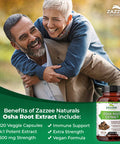 Zazzee Osha Root 4:1 Extract, 500 Mg Strength, 120 Vegan Capsules, 4 Month Supply, Concentrated And Standardized 4X Extract, 100%