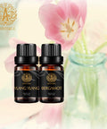 Aromatherapy Ylang Ylang Essential Oil Set for Diffuser, 100% Pure Bergamot Essential Oil Kit for Humidifier, 2x10ml Therapeutic Grade Begarmot Essential Oils Set - Ylang Ylang & Bergamot Oil for Home