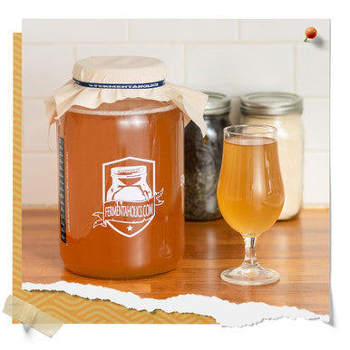 Fermentaholics Kombucha Scoby - Live Starter Culture Start A Half Gallon Batch Six Ounces Of Strong Mature Starter Tea - Brew Your Own Kombucha