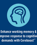 Gnc Preventive Nutrition Focus And Memory - 60 Capsules