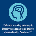 Gnc Preventive Nutrition Focus And Memory - 60 Capsules