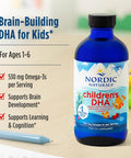 Nordic Naturals - Children's DHA (Strawberry) - 16oz