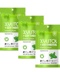 DC24 DAILY CARE Gum, Aspartame Free & Sugar Free, Xylitol Chewing Gum with Erythritol, Low-Calorie, Sugarless, Watermelon Flavored Gum, 50 Pieces (Pack of 3)