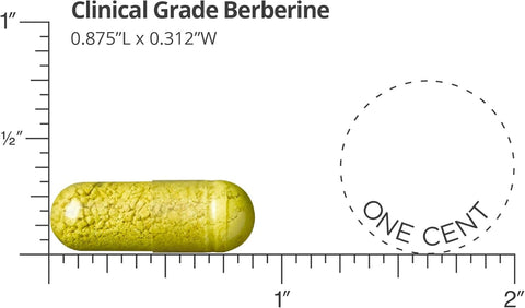Dr. Whitaker Clinical Grade Berberine 1500Mg Per Daily Serving 180 Count