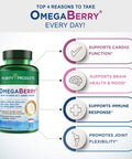 OmegaBerry Fish Oil with Vitamin D3 and Organic Acai 1250mg Concentrated Molecularly Distilled Ultra Pure Omega3 Fish Oil 500mg DHA 650mg EPA 60 Soft Gels 30 Day Supply from Purity Products