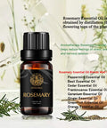 Aromatherapy Essential Oils, Rosemary Aromatherapy Essential Oils (0.33 oz - 10ml), 100% Pure Essential Oils Rosemarry Scent for Diffuser, Humidifier, Massage, Aromatherapy, Skin & Hair Care