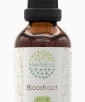 Herb Era Bloodroot Tincture B60 Alcohol-Free Extract Super-Concentrated Responsibly Farmed Bloodroot (Sanguinaria Canadensis) Dried Root (2 Fl Oz)