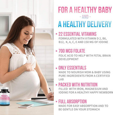 GoBiotix Vegan Prenatal Vitamins Once Daily Prenatal Capsules 90 Count