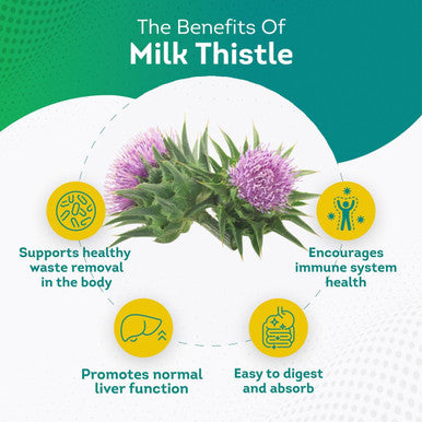 Purepremium Milk Thistle Supplement With Silymarin - 450Mg Complex Normal Liver Support Supplement - Milk Thistle Extract For Normal Liver Function - Vegan Silymarin Milk Thistle - 120 Tablets