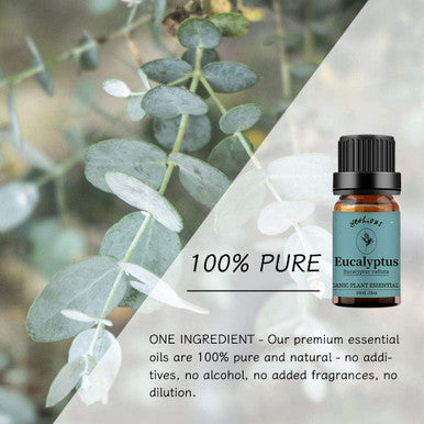 Lavender + Eucalyptus Essential Oil Aromatherapy Oil, 100% Pure Essential Oils for Diffuser, Humidifier, Massage 10ML*Top 2 Set