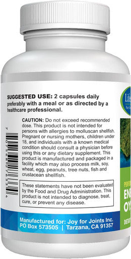 Energize Oyster Extract Supplement For Men & Women - Zinc, Taurine, Amino Acids - Supports Energy, 500 Mg, 60 Veg Capsules