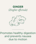Traditional Medicinals Ginger 16 Tea Bags