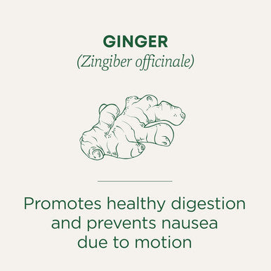 Traditional Medicinals Ginger 16 Tea Bags