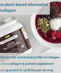 Vegan Collagen Protein Powder + Live Cultures+ Lab4 Probiotics Vegan Bundle, Complete Collagen Boosting Formula + 25 Billion CFU Probiotic with Non-Bloating Prebiotic, by Igennus