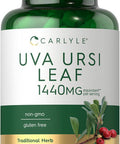 Carlyle Uva Ursi Capsules | 1440mg | 150 Count | Herbal Leaf Extract | Non-GMO | Gluten Supplement