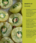 Banyan Botanicals Amalaki (Amla) Powder, 1/2 Pound - Usda Organic - Emblica Officinalis - Ayurvedic Antioxidant For Hair, Skin, Digestion*