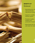 Banyan Botanicals Organic Shatavari Powder Asparagus Racemosus Ayurvedic Herb For Vata & Pitta, Balanced Female Hormones, Energy, Vitality & More* 1/2Lb. Non-Gmo Sustainably Sourced Vegan Ffl