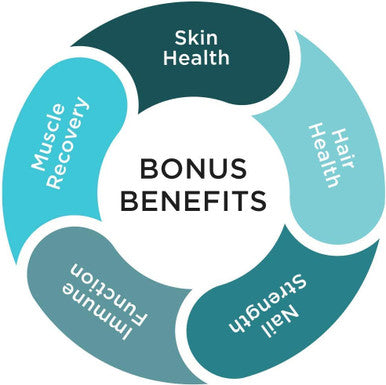 JointGel Formula Purity Products Collagen Peptides MSM Supports Joint Flexibility Fortify Joint Cartilage Berry Powder 30 Day Supply