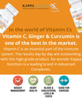 KAPPA NUTRITION Vitamin C 1,000mg, Ginger, Curcumin, Piperine, 4 in 1 Advanced Complex, (120 Capsules) from