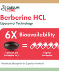 Liposomal Berberine Hcl - Berberine 1500Mg Activates Ampk & Glp-1, High Bioavailability Berberines Supplement For Women And Men, Berberine Plus Overall Health Support (1 Pack)