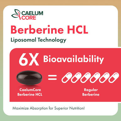 Liposomal Berberine Hcl - Berberine 1500Mg Activates Ampk & Glp-1, High Bioavailability Berberines Supplement For Women And Men, Berberine Plus Overall Health Support (1 Pack)
