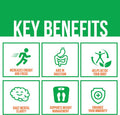 GoBiotix Super Greens Powder N Super Reds Powder NonGMO Vegan Red and Green Superfood Probiotics Enzymes Organic Whole Foods Fruit and Veggie Supplement Mango 30 Servings