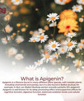 Nootropics Depot Apigenin Capsules 200Mg 120 Count >98% Apigenin Supports Healthy Stress Levels