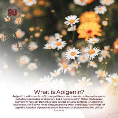 Nootropics Depot Apigenin Capsules 200Mg 120 Count >98% Apigenin Supports Healthy Stress Levels