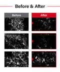 Dr.FORHAIR Folligen Original AntiThinning Biotin Shampoo 16.9 oz Hair Regrowth Thickening Anti Hair Loss