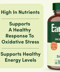 Earthfirst Organic Once Daily Multivitamin For Men 50+ 19 Vitamins From Herbs & Superfoods Supports Prostate Health Energy Levels And Strong Bones 60 Count
