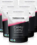 Terrasoul Superfoods Organic Camu Camu Powder 17.5 Oz 5 Pack Raw Natural Vitamin C Immune Support