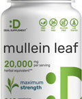 Deal Supplement Mullein Leaf Extract 20000mg 240 Veggie Capsules 4 Month Supply Natural Lung Detox Herbal Supplement Supports Respiratory & Immune Health Non-GMO Vegan