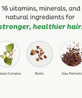DR VITAMIN SOLUTIONS Gray Hair Rescind With Catalase Antiaging Hair Skin And Nails Vitamins Pantothenic Acid Folic Acid 400Mcg Biotin 300Mcg Saw Palmetto For Men And Women 60 Capsules