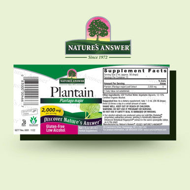 Nature'S Answer Plantain Leaf with Organic Alcohol 2000mg 1oz Extract | Supports Skin Wellness | Gluten- Non-GMO Vegan No Preservatives or Artificial Flavors | Single Count