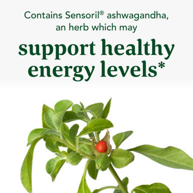 MegaFood Thyroid Strength - Mineral Supplement - Thyroid Support For Women With Ashwagandha Zinc Selenium Copper Iodine & L-Tyrosine & Herb Blend - Vegetarian - 90 Tabs (45 Servings)