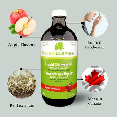 Green Elephant Liquid Chlorophyll, 500 ml, Made in Canada (Apple, Pack of 1)