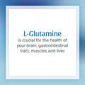 Natural Factors Micronized LGlutamine 1000 mg Supports Muscles and Immune Function 180 Capsules
