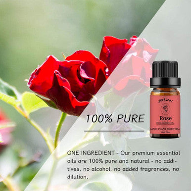 Rose Essential Oil Aromatherapy Oil, 100% Pure Essential Oils for Diffuser, Humidifier, Massage-10ML