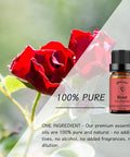 Rose Essential Oil, Aromatherapy Oils 100% Pure Gift Oils for Diffuser, Humidifier, Body Care, Massage - 3x10ML